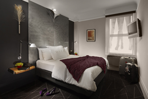 Deluxe King or Queen room photo