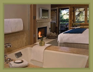 Ventana Fireplace Room room photo