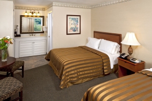 Standard room with Kitchenette room photo