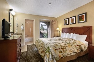 Suite - King room photo