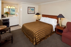 Standard Room - 1 King Bed room photo