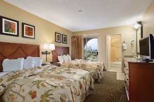 Suite - Two Doubles room photo