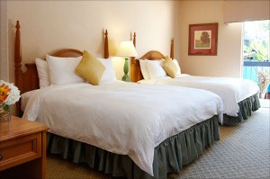 Garden/Pool View room photo