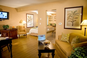 Business First - 1 Queen & 1 Sofa Bed room photo
