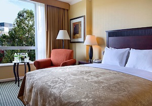 Standard Queen room photo