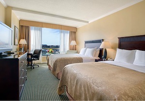 Superior Double room photo