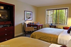 Deluxe King room photo