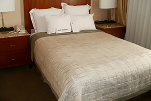 One Double Bed Standard Handicap Accessible Room room photo